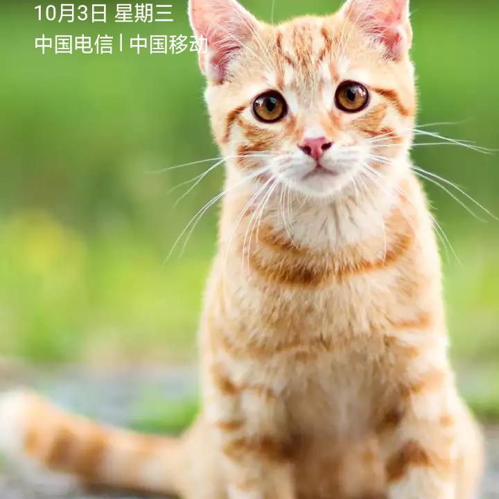 黑土地二爷