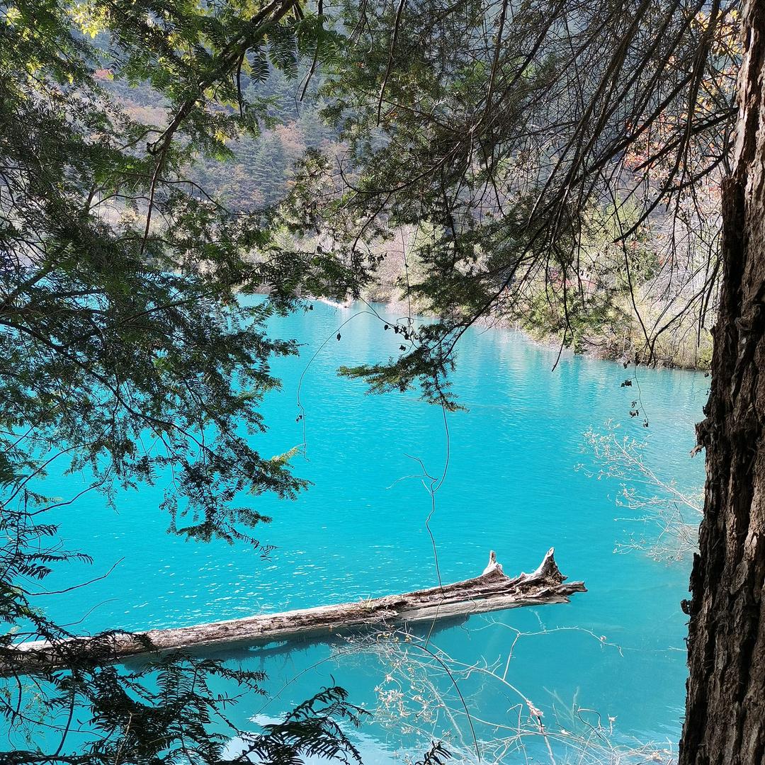 海军