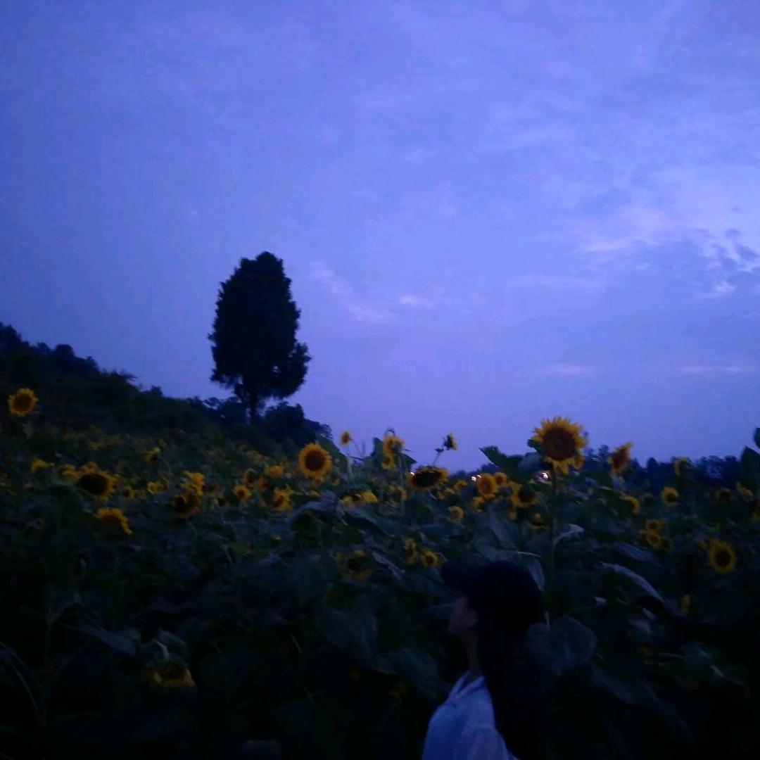是小小丽🍀