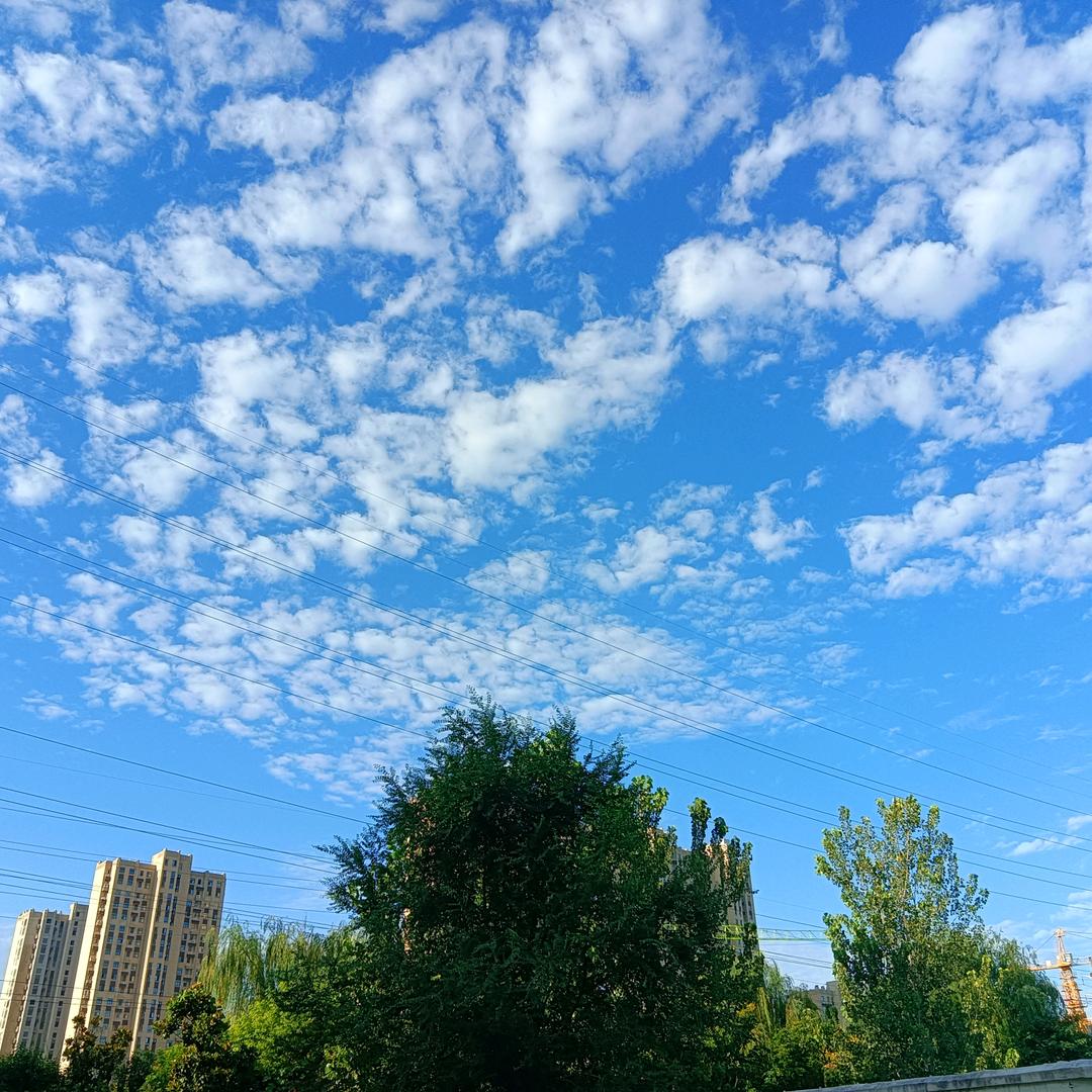 黄河长江