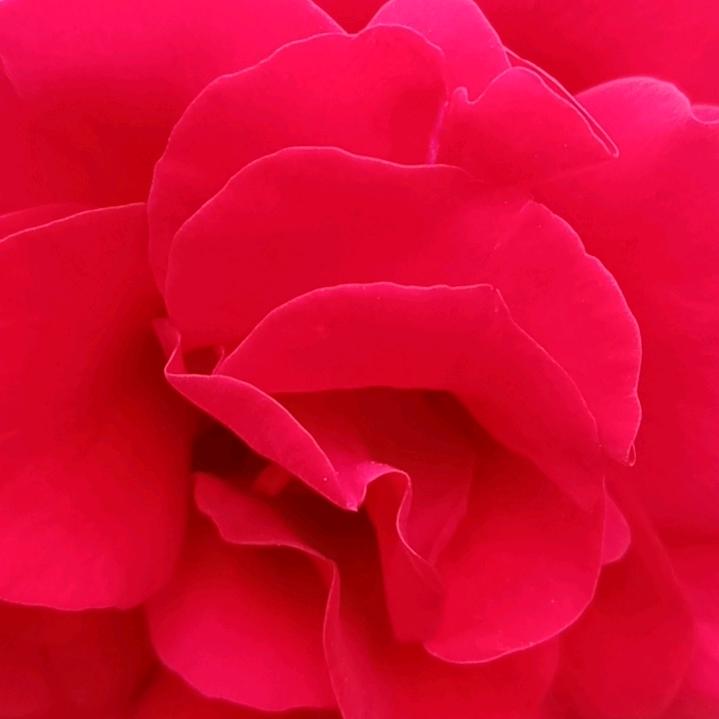 三十年前大美女