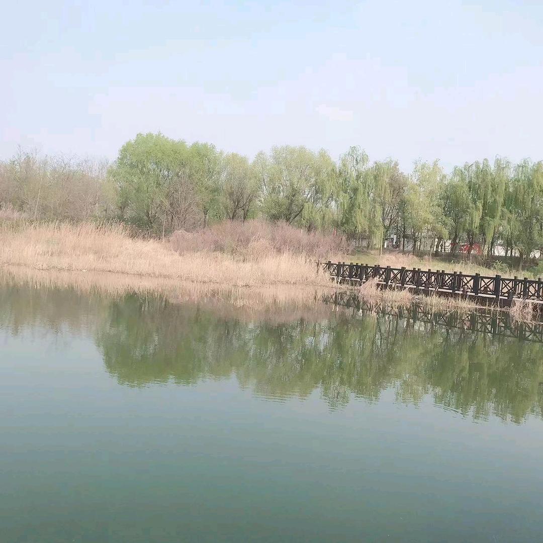 巨匠木业