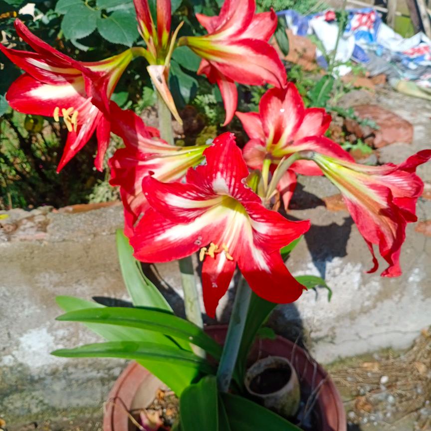 伤了心的我，很累！！！！《拒私聊》