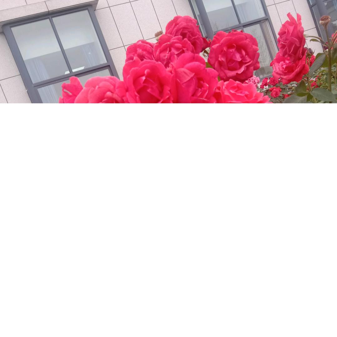如梦初醒