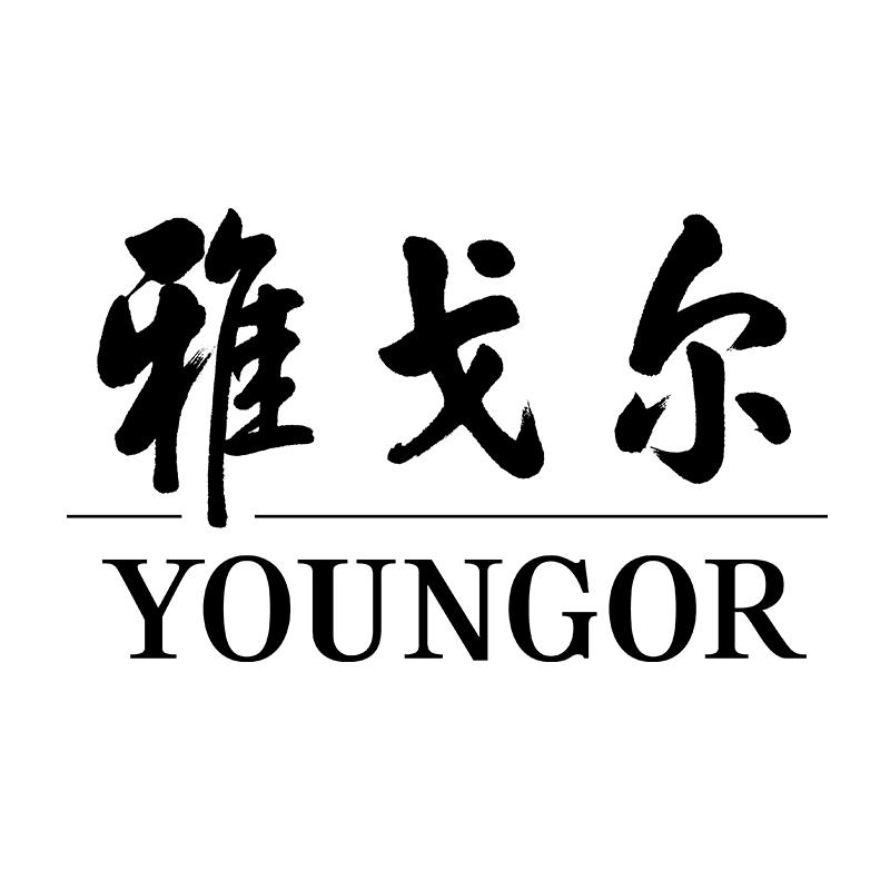雅戈尔服饰配件旗舰店