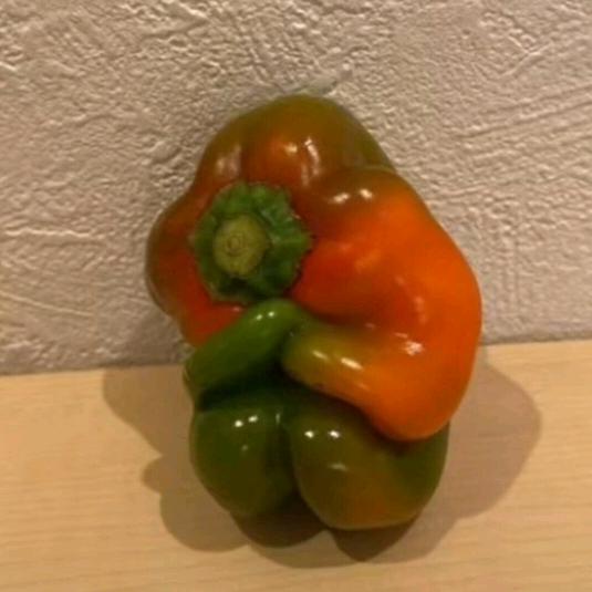 土豆与马铃薯
