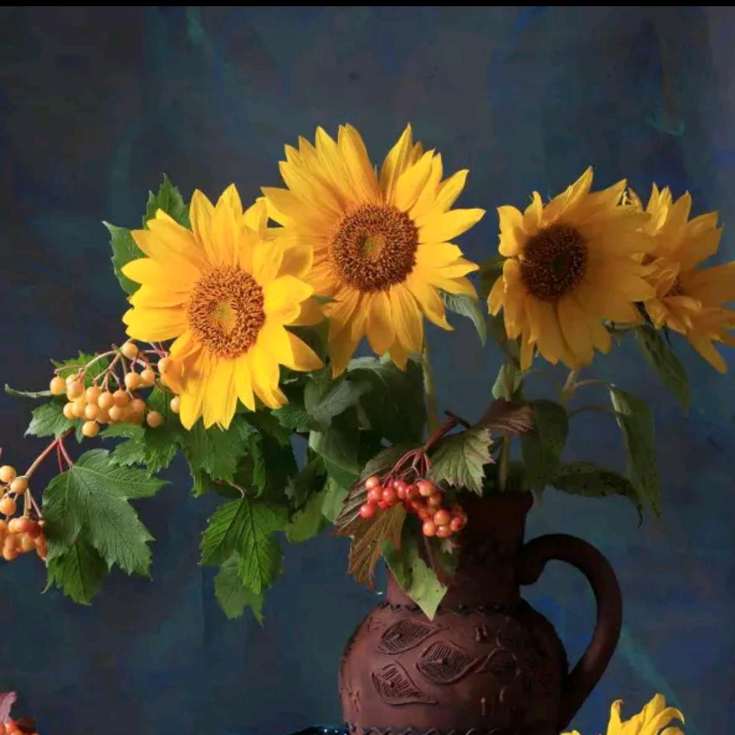 懂得珍惜-才配拥有