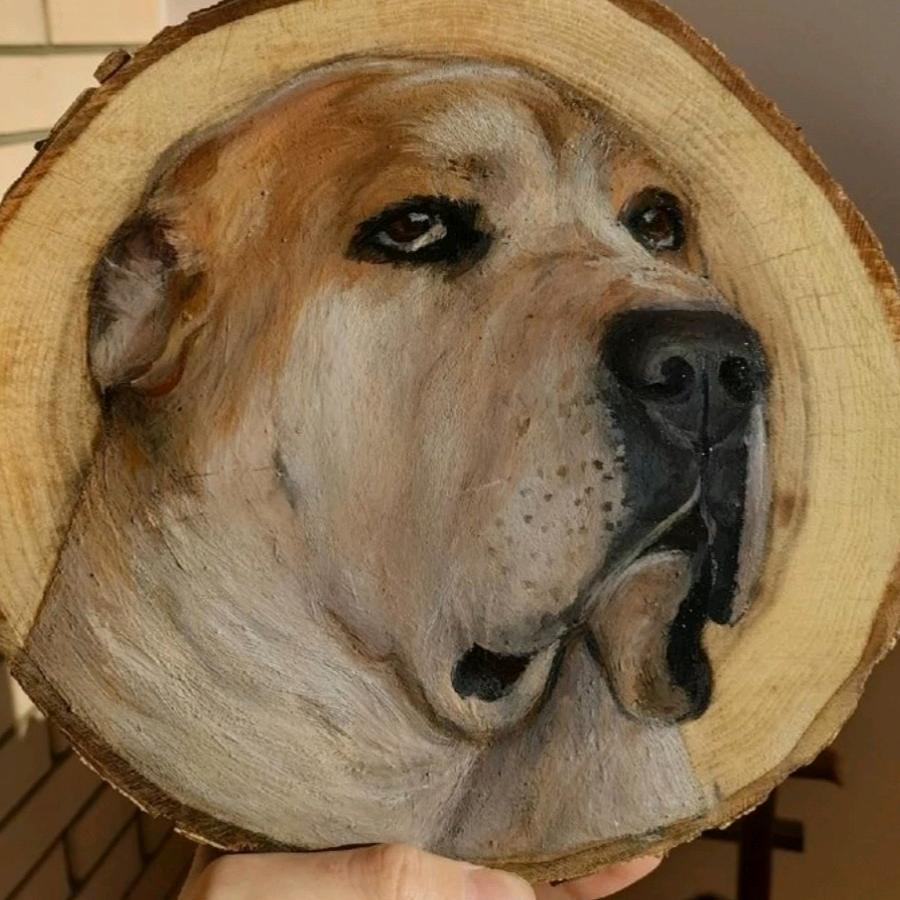杰出诚信中亚牧羊犬