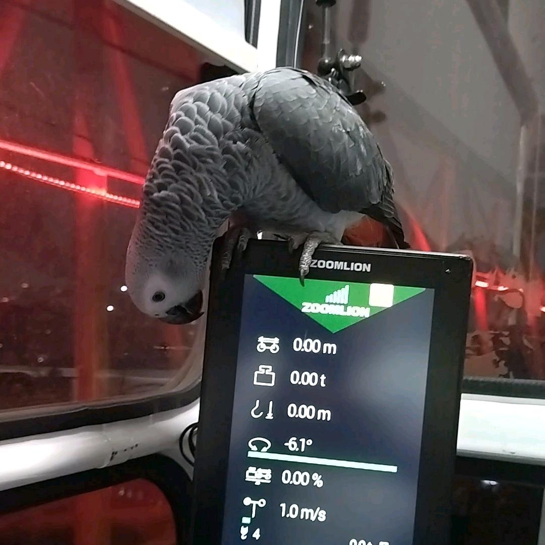 🦋吴家᭄🕊可归᭄