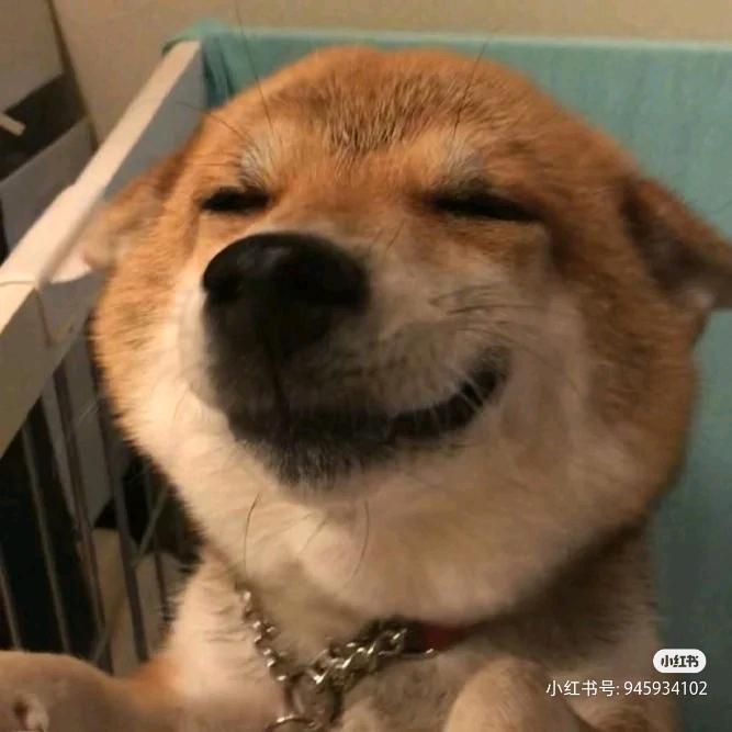 冷冷冷冷冷