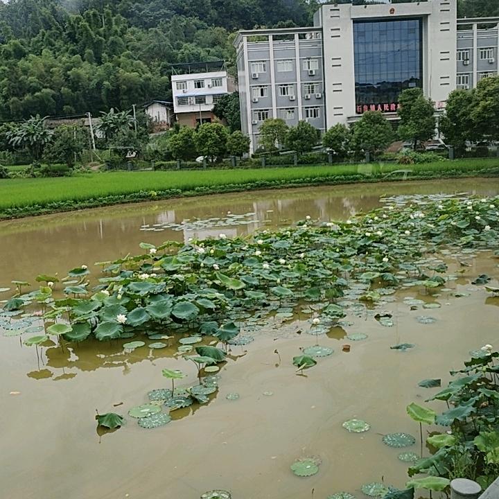 一个人的寂寞