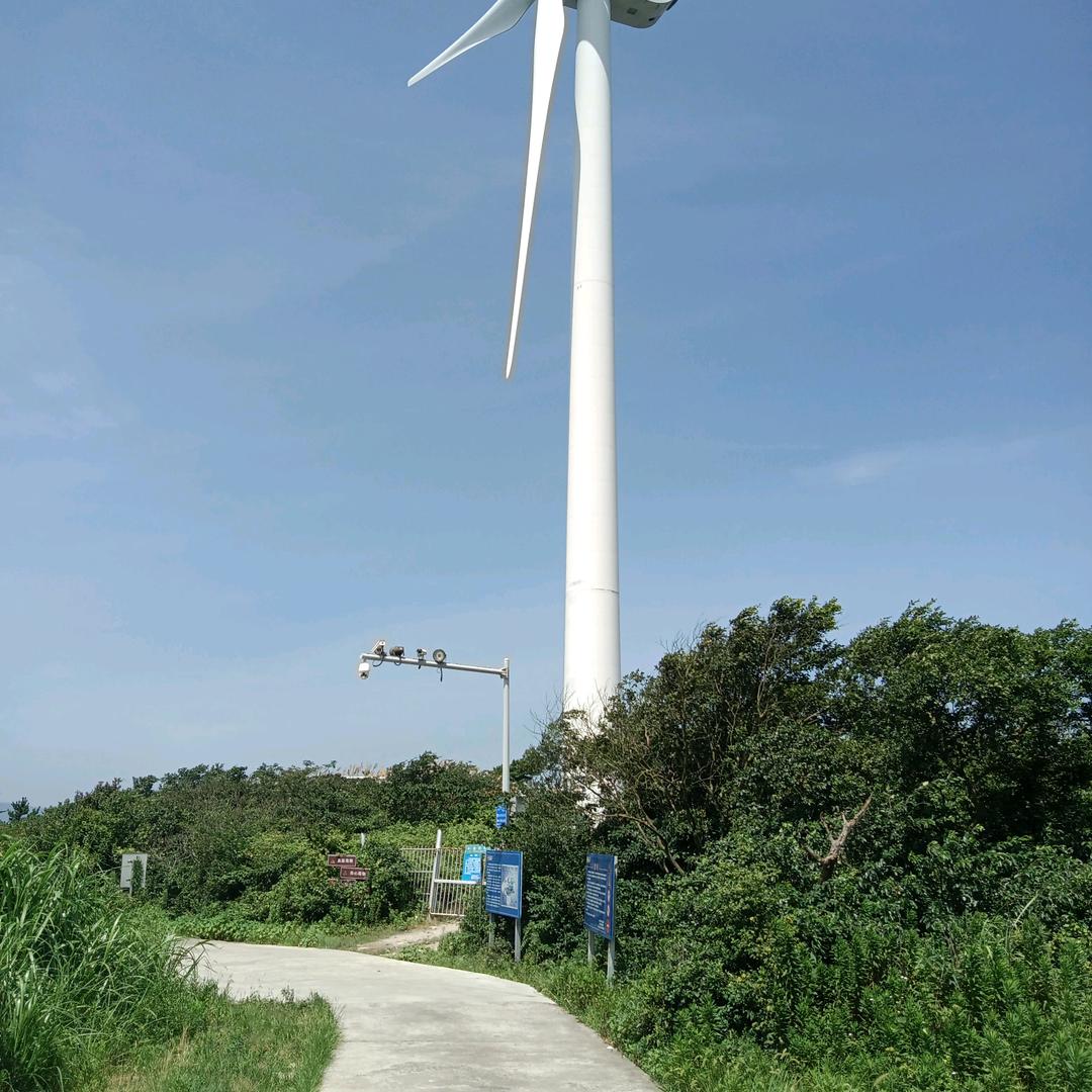 刘玉东