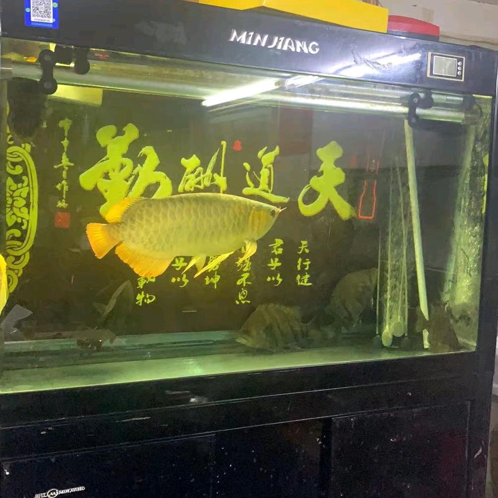 汕尾陆河怀达玻璃