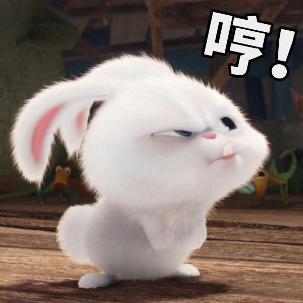 猴🐒