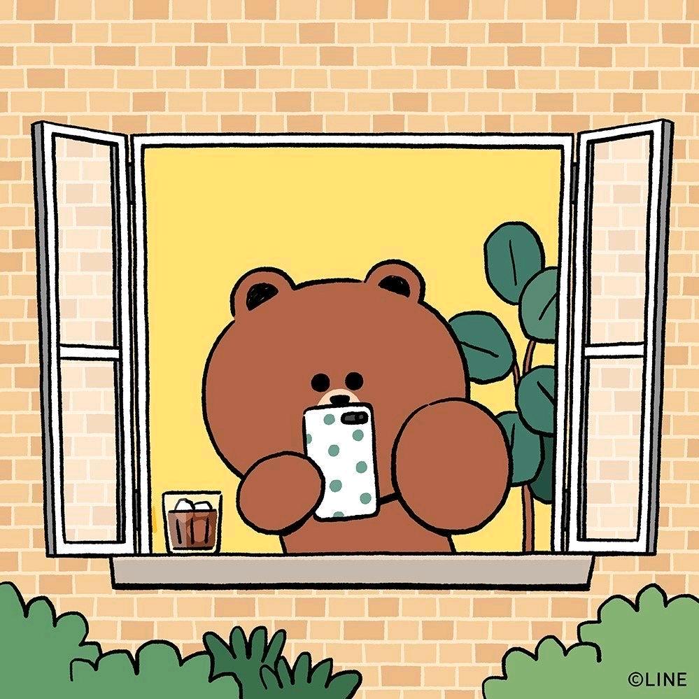 布朗熊玩游戏