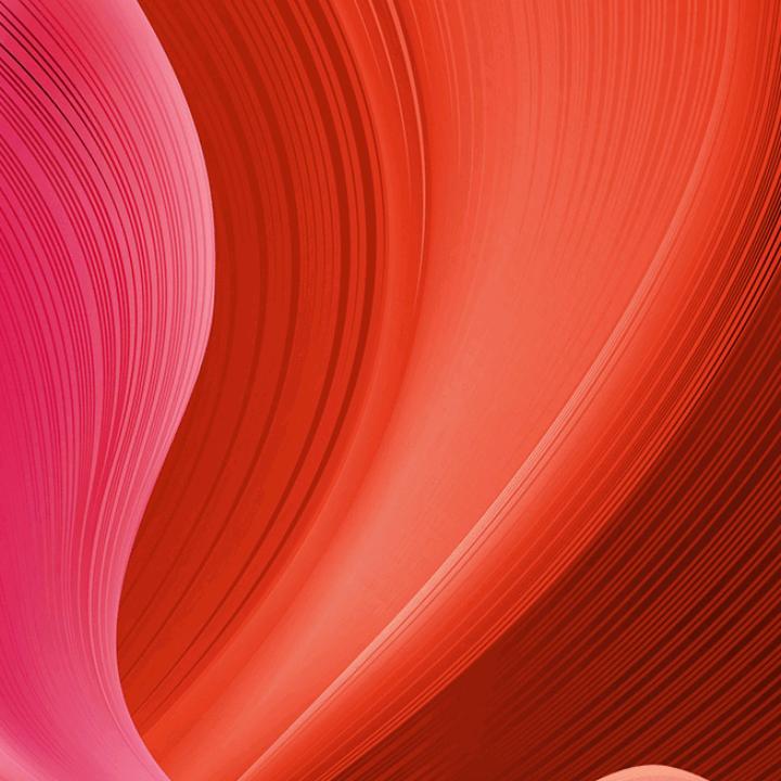 972514258202