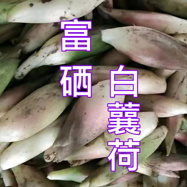 如皋特产店