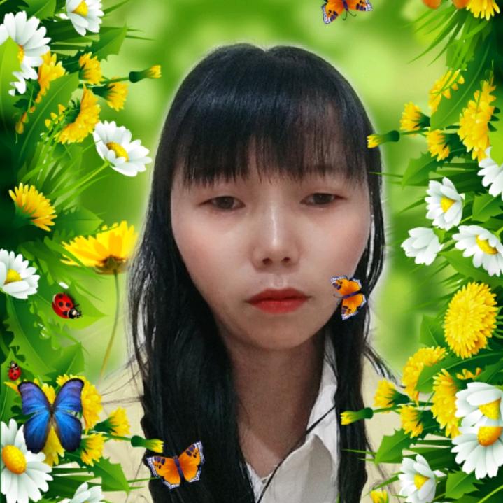 平静的生活