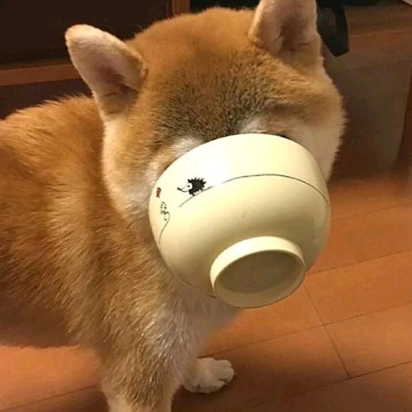 不会翘头的摩托佬🏍