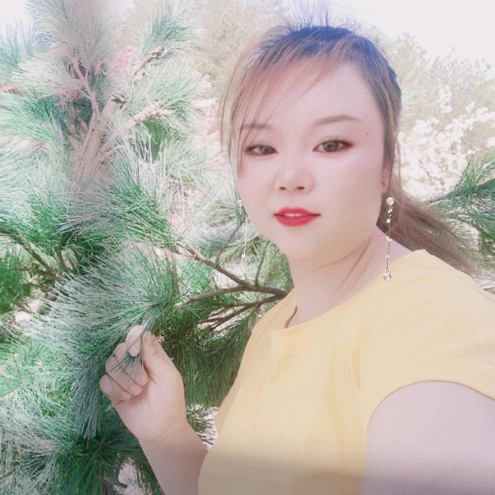 小琴