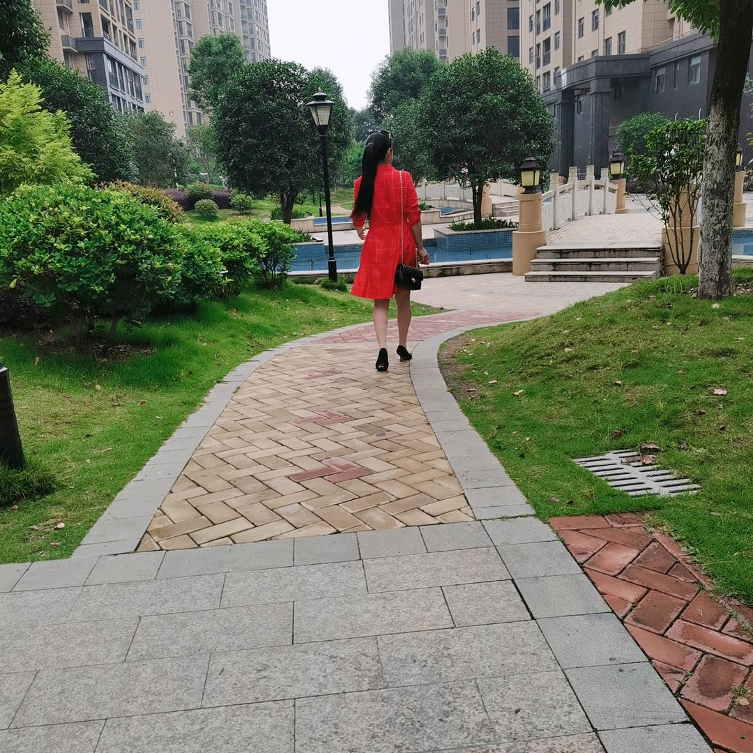春天里的燕子