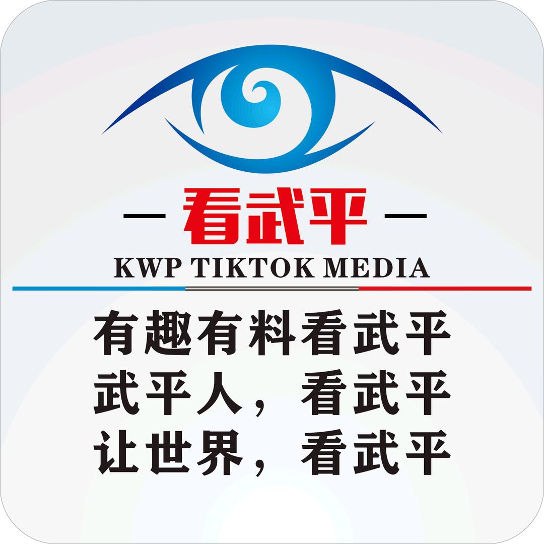 看武平