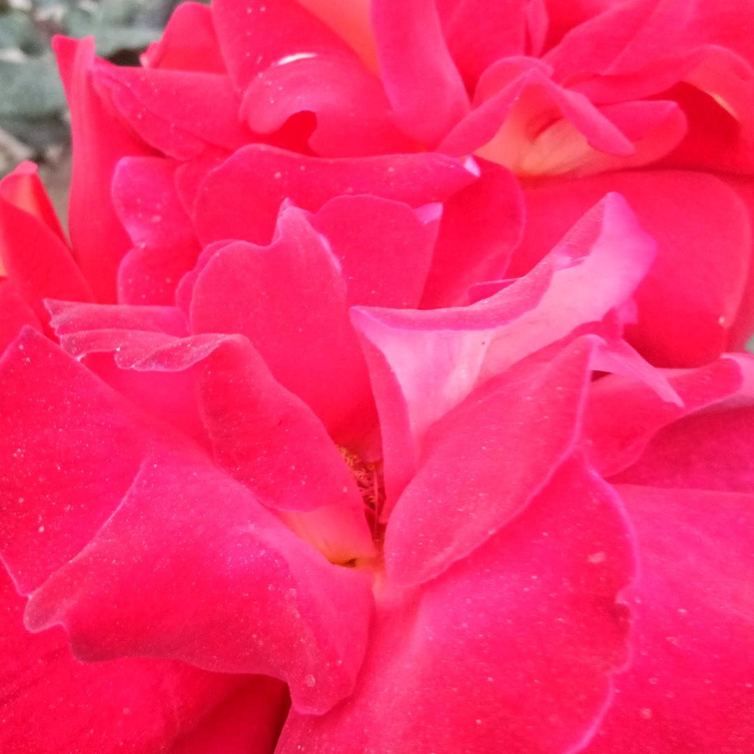 往事随风,拒绝私聊