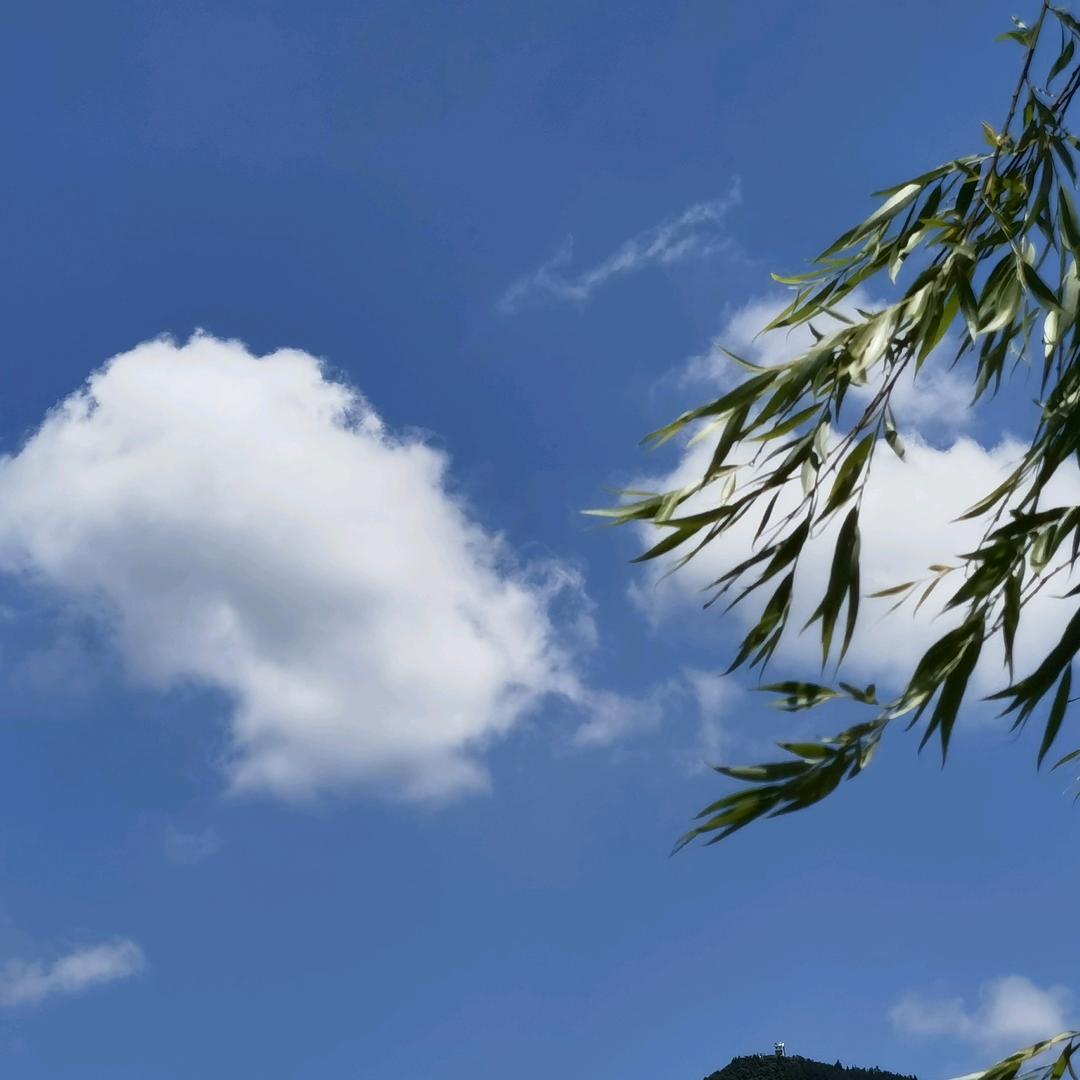 春暖花开