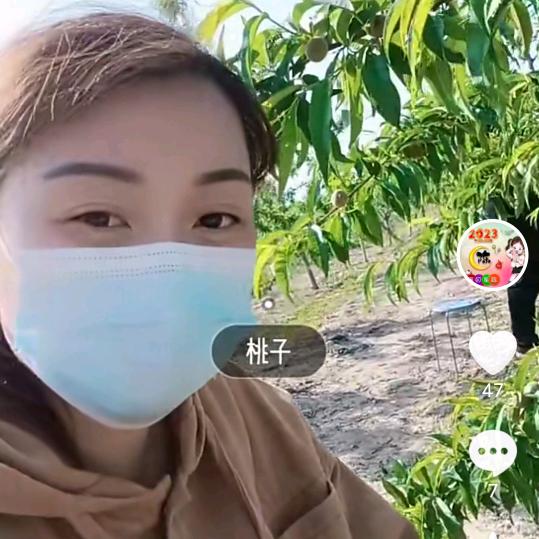 粉梨桃罐