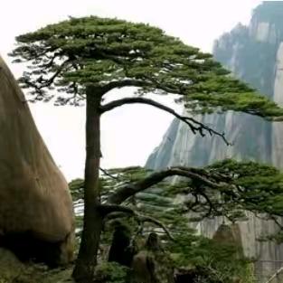 桂祖胜专业生产耳绳