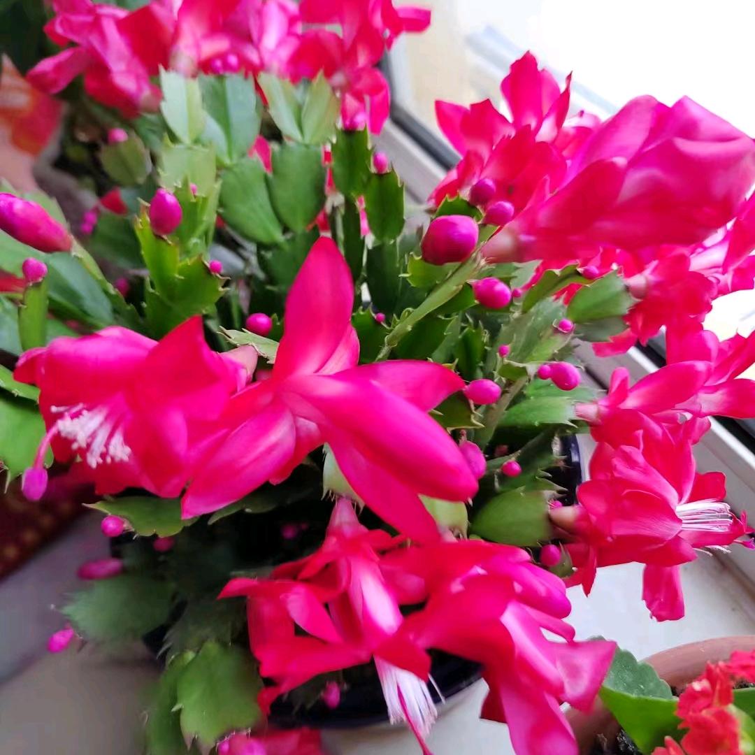 心情好什么都好