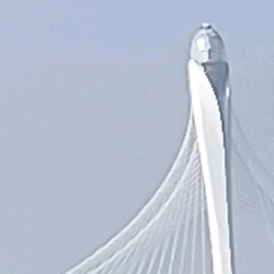 聚德烤鸭官方号