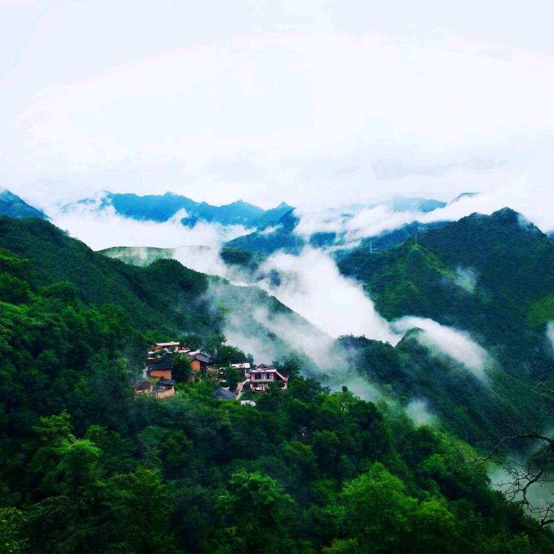 白龙江畔