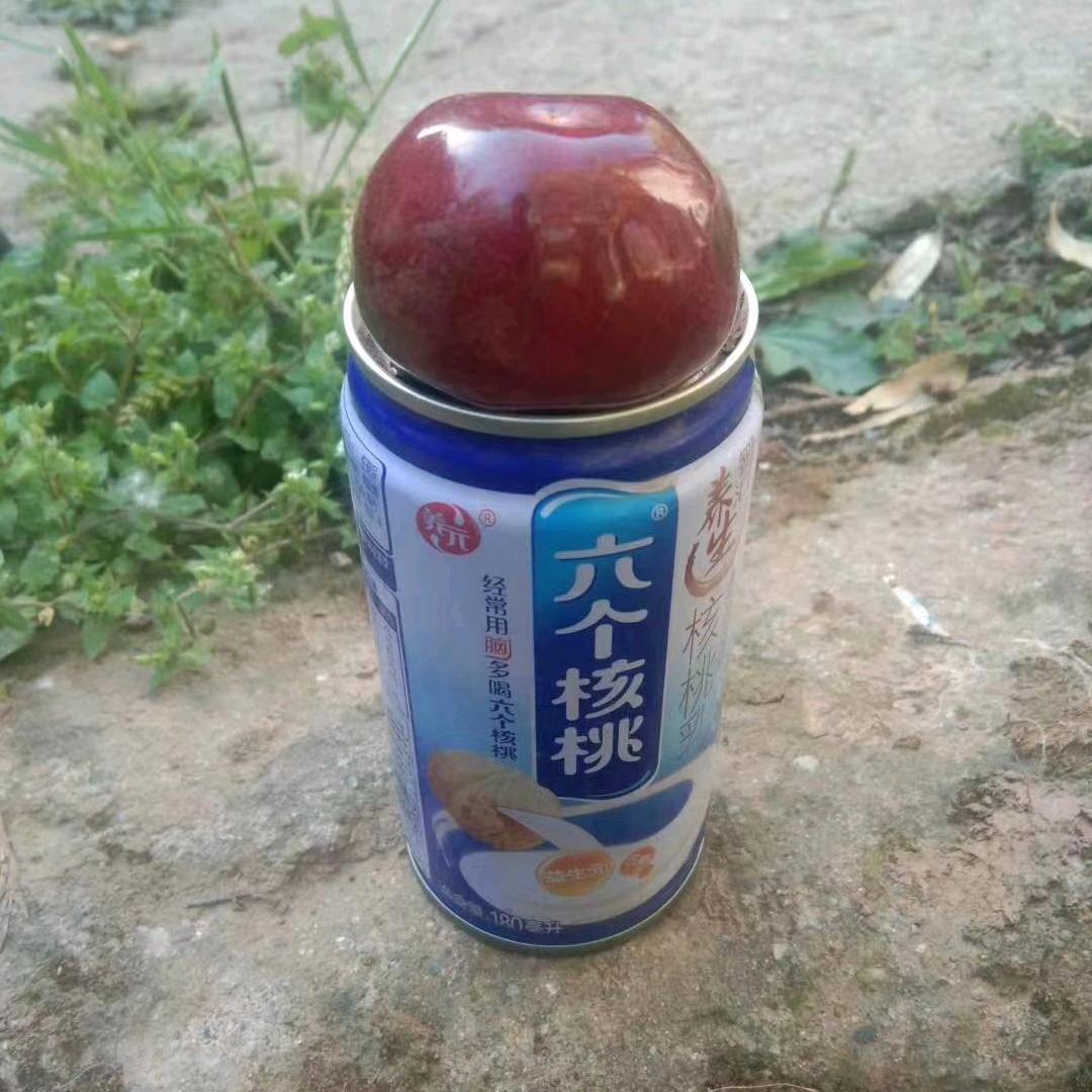 均春源~李老幺汉果蔬