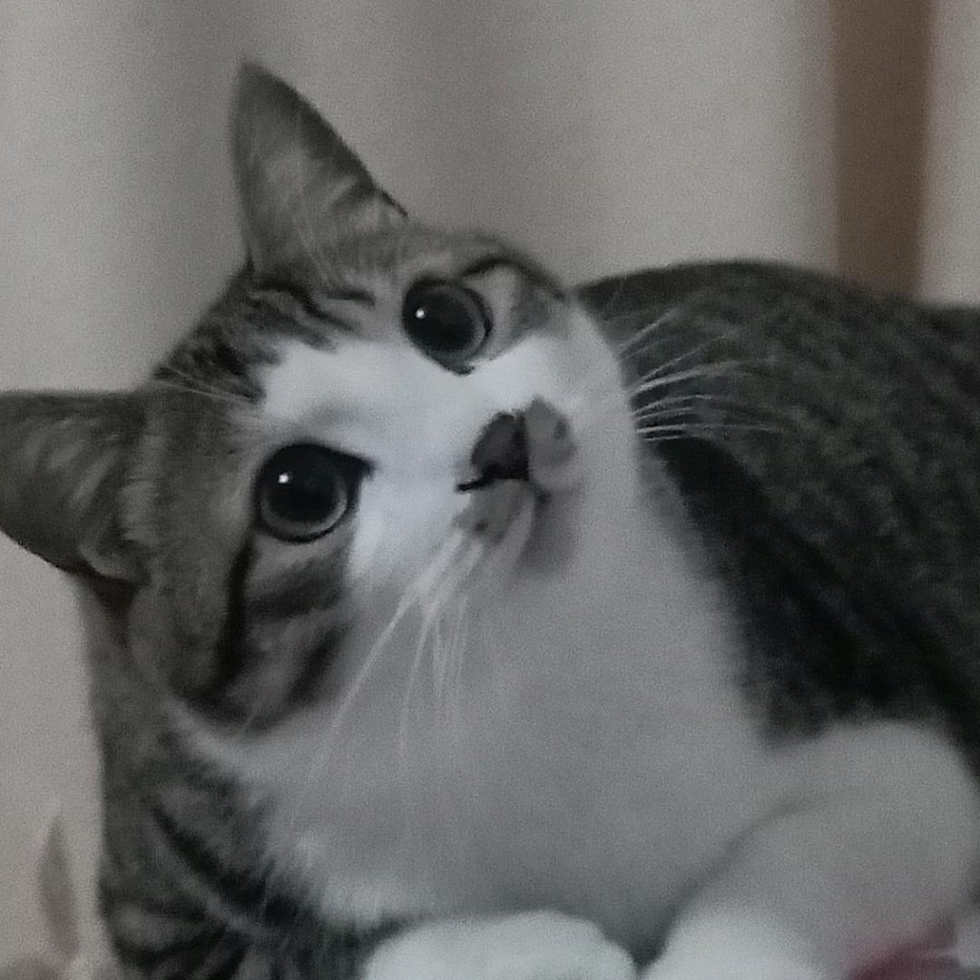 财迷⁵⁴³