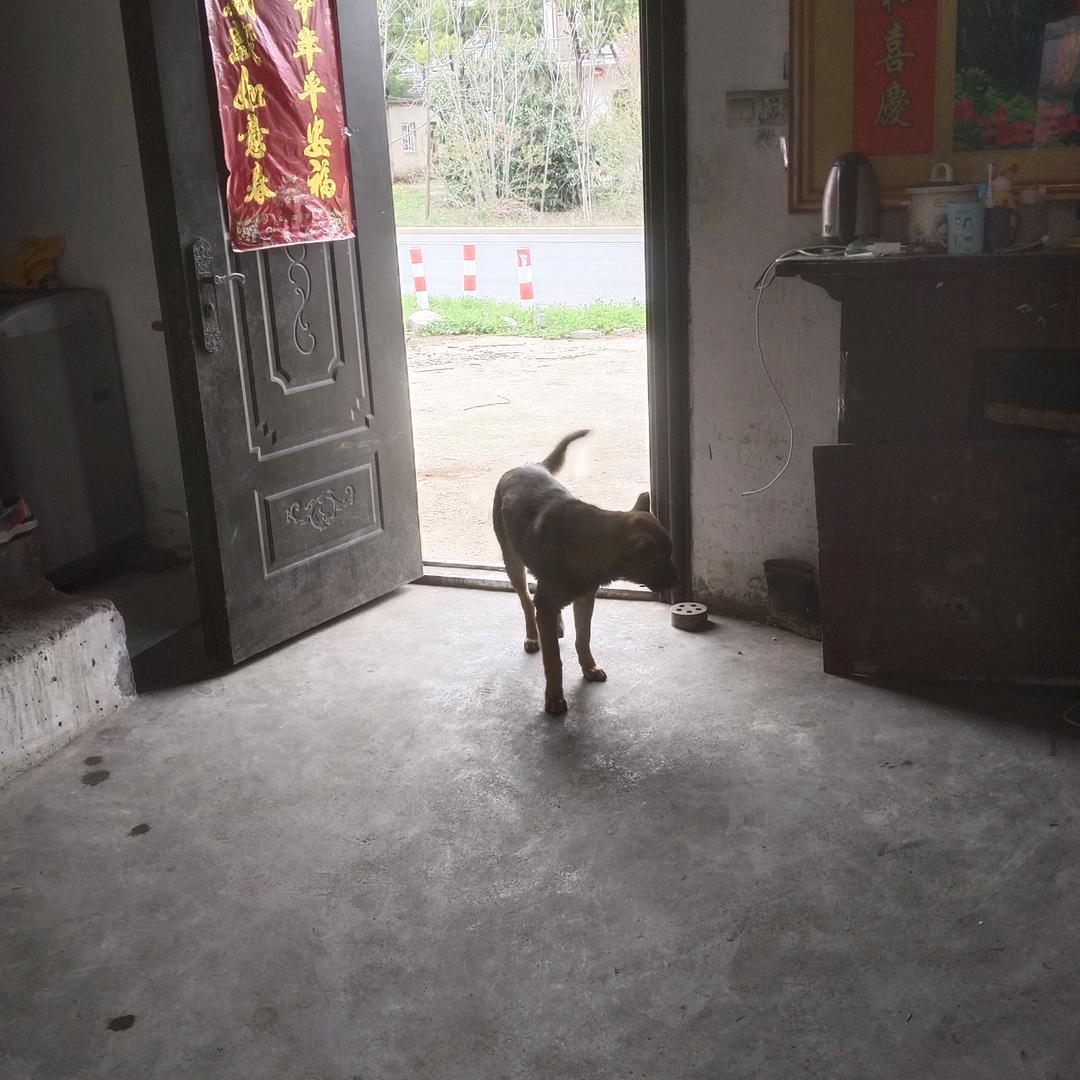 小时了吗