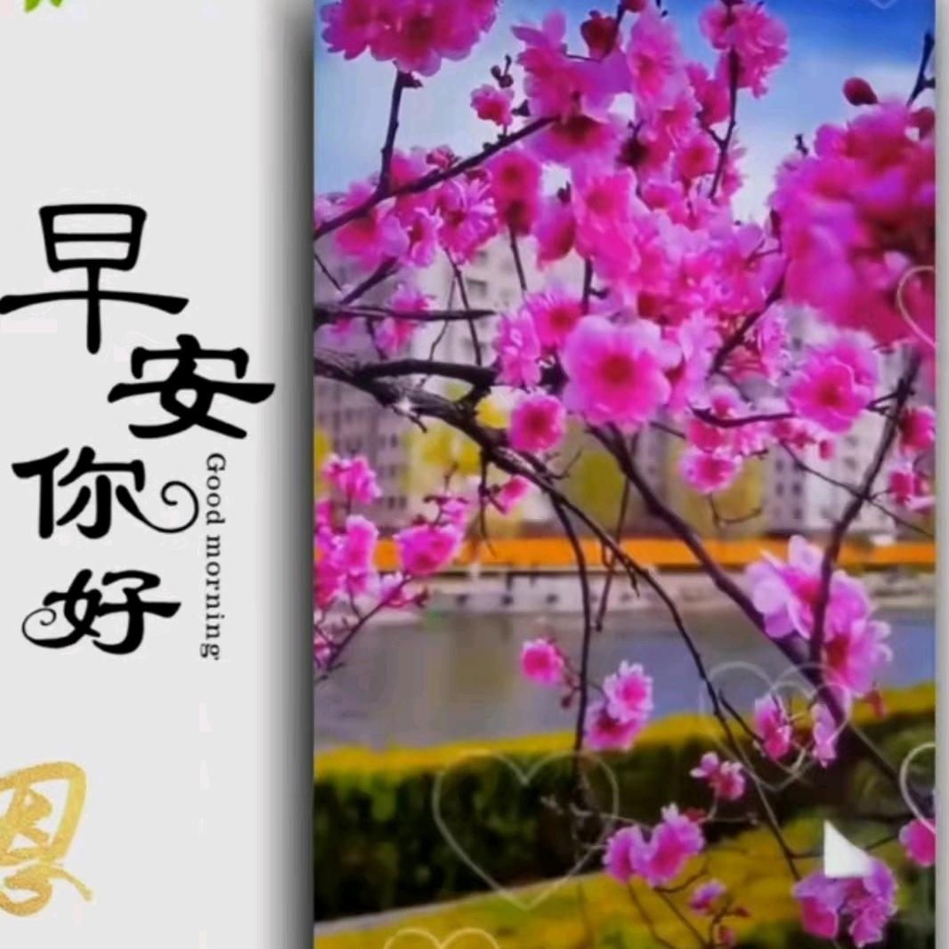 我*你
