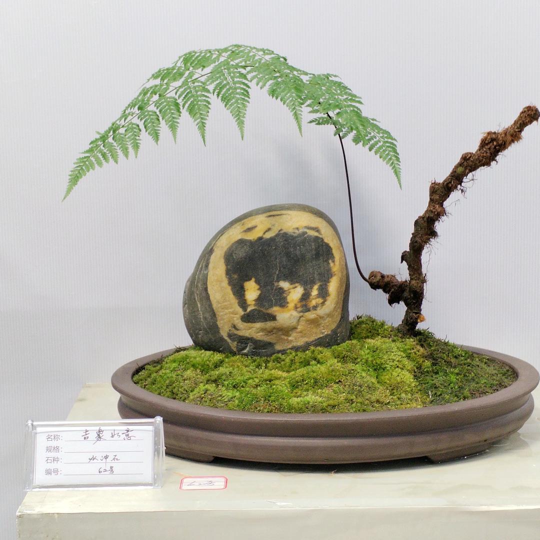 *石来运转*