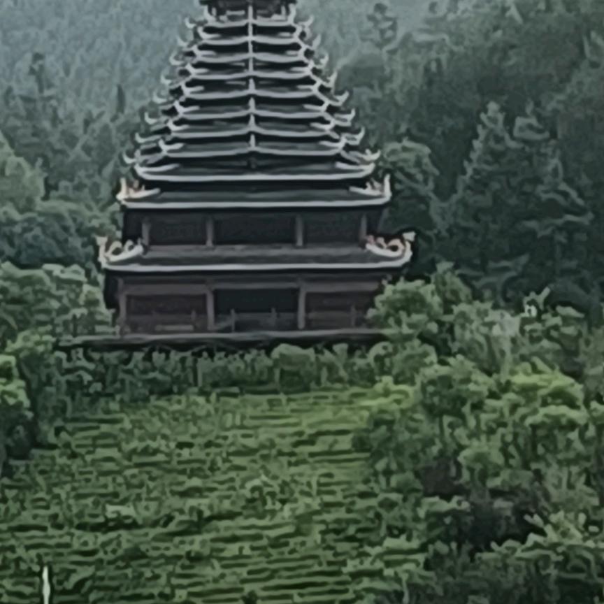 吉祥如意，茶叶批发
