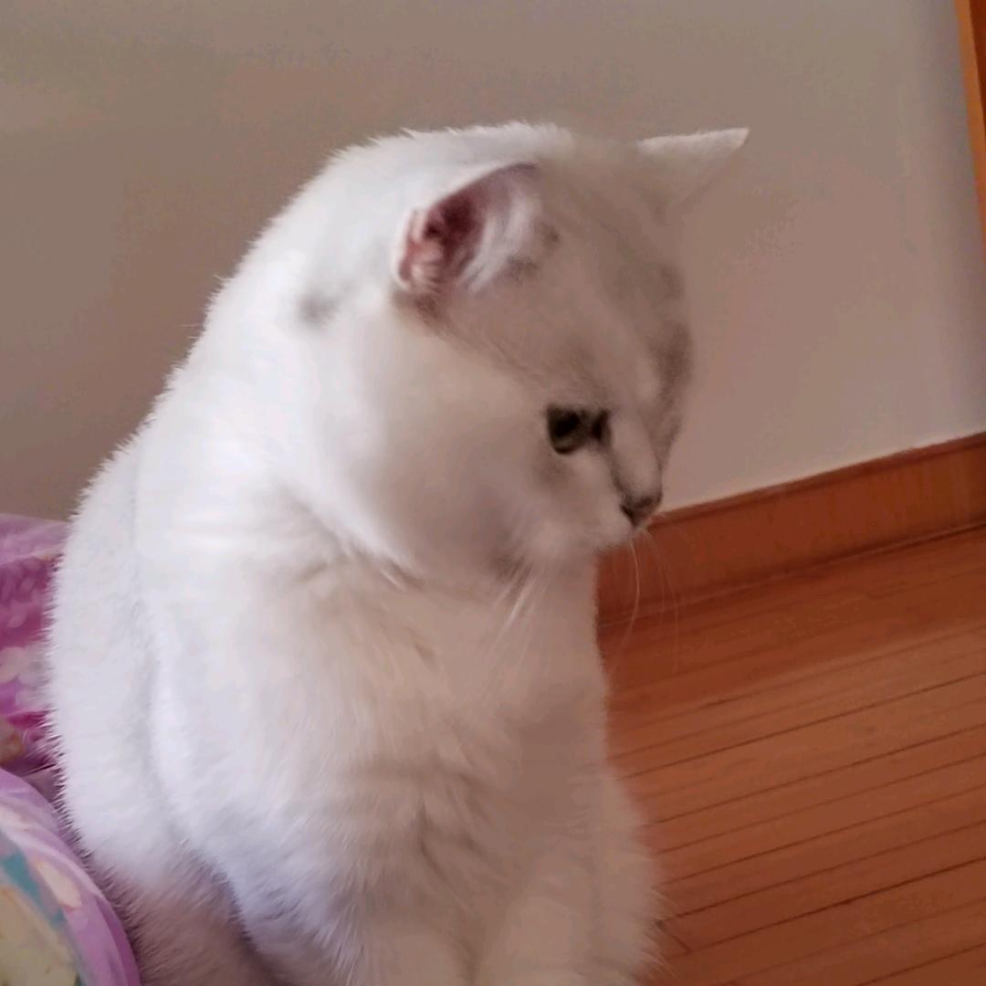 君御