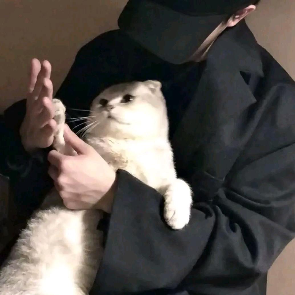 赵小淘