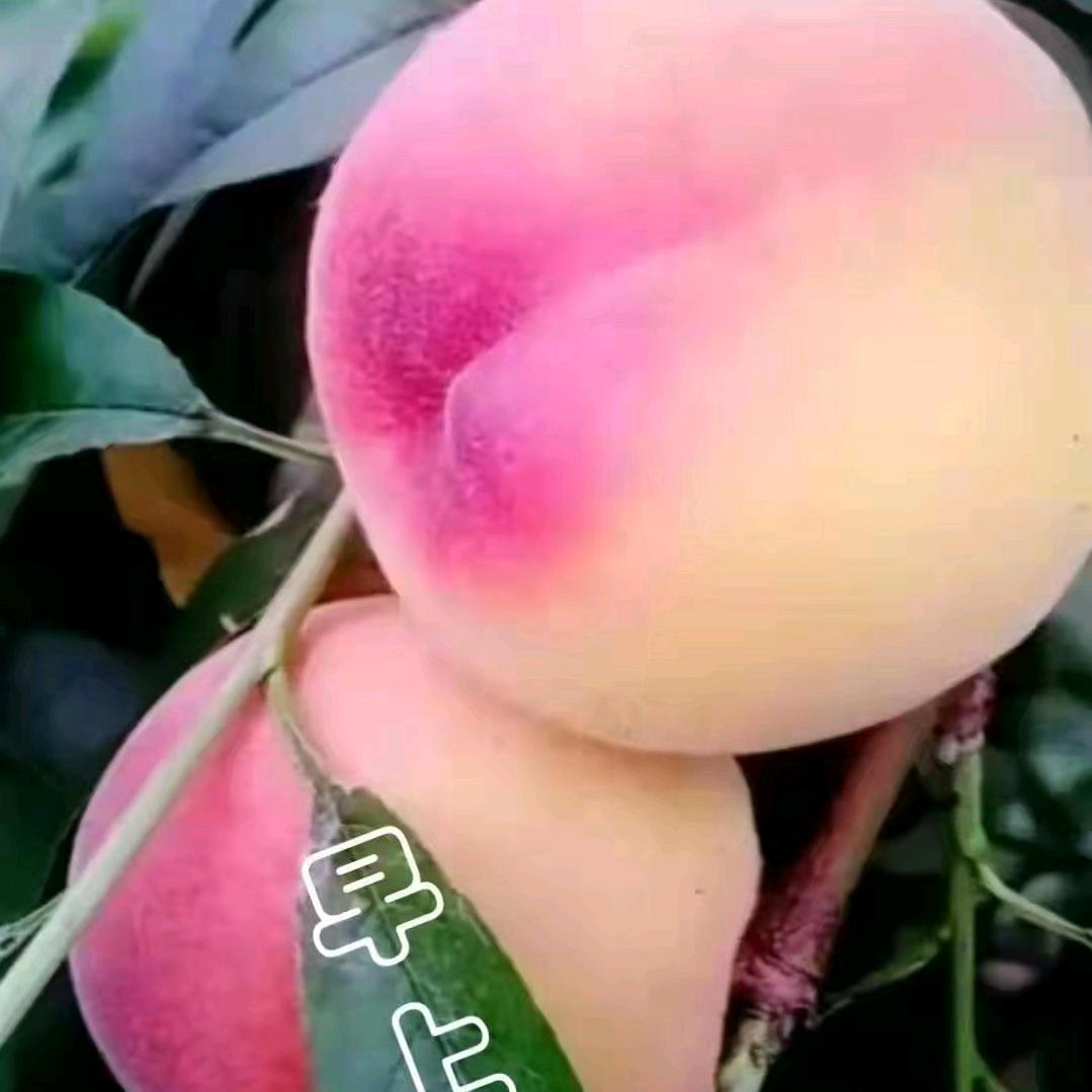 王建华