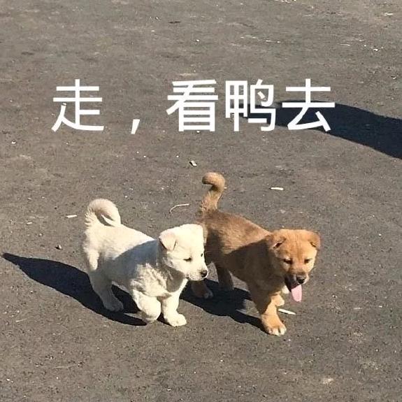 说从前事