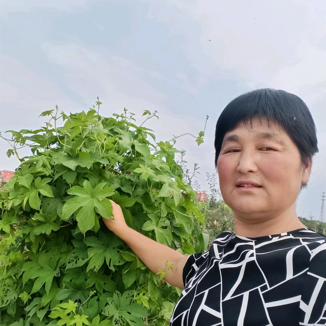 平淡人生