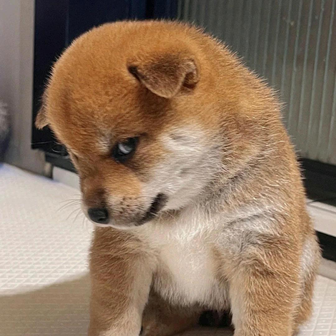 快乐小周