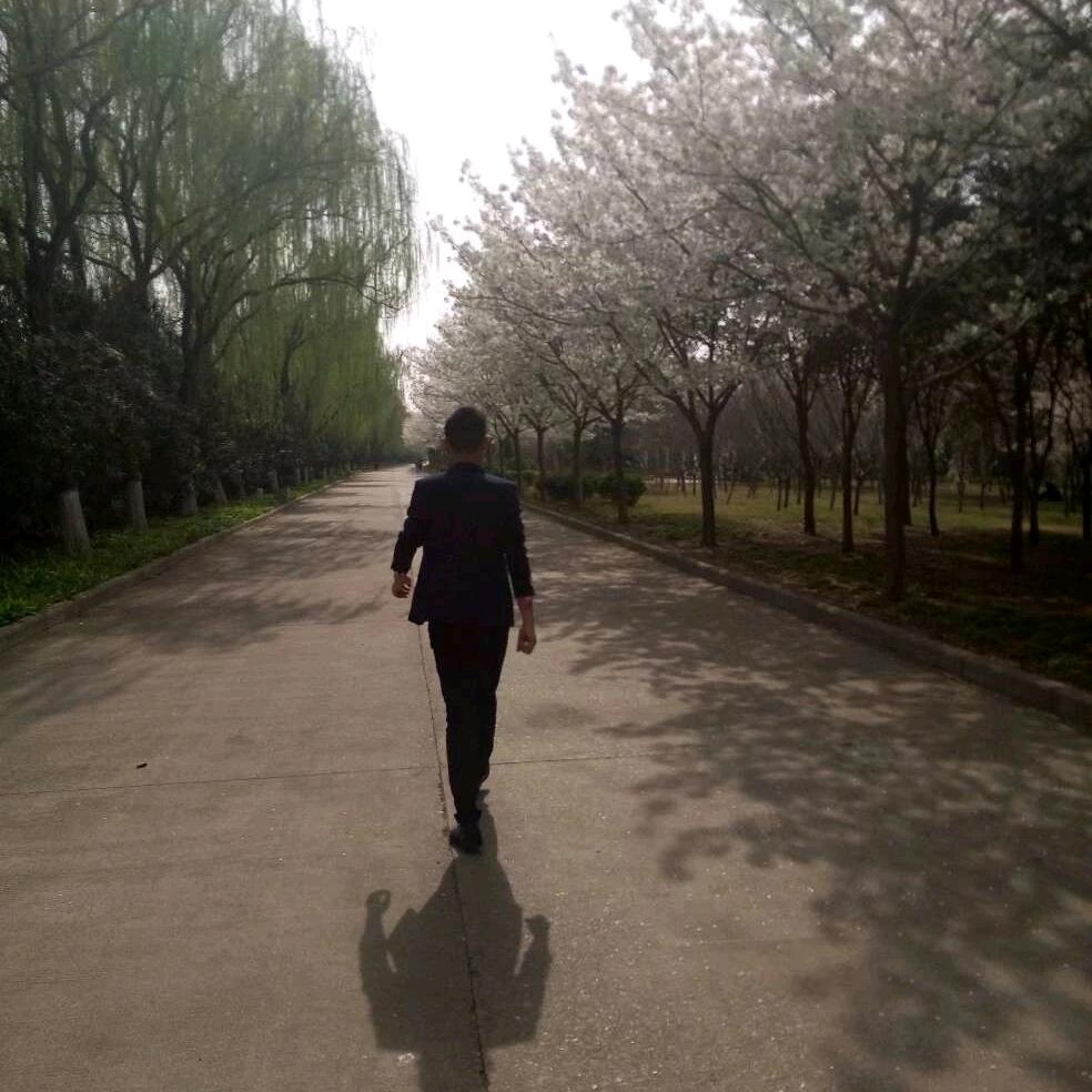 有南瓜车的地球