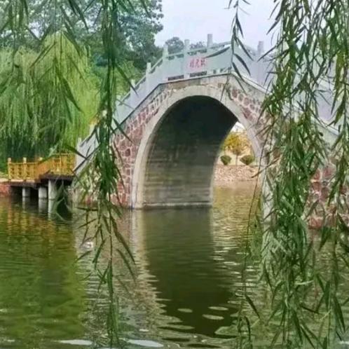 沐辰陌染