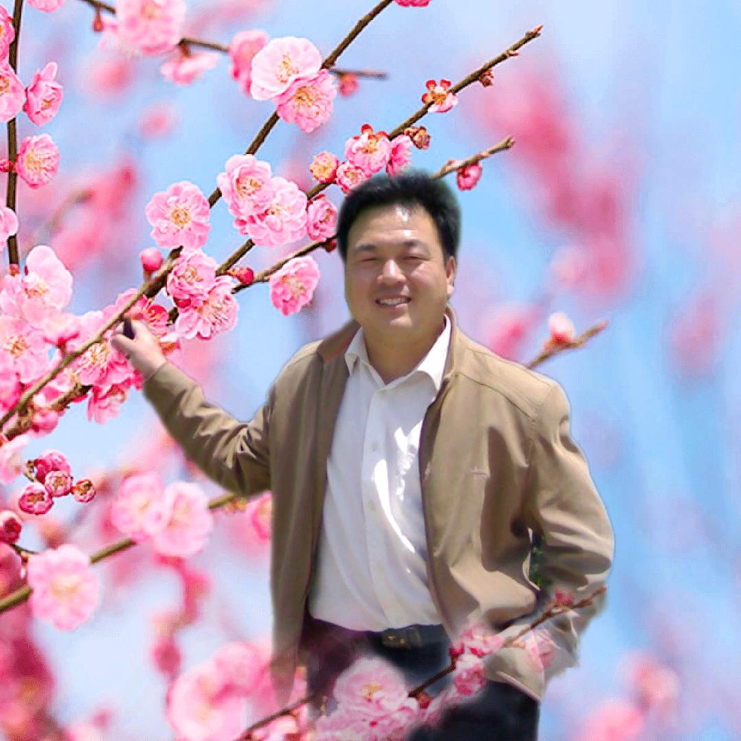 香博海安富