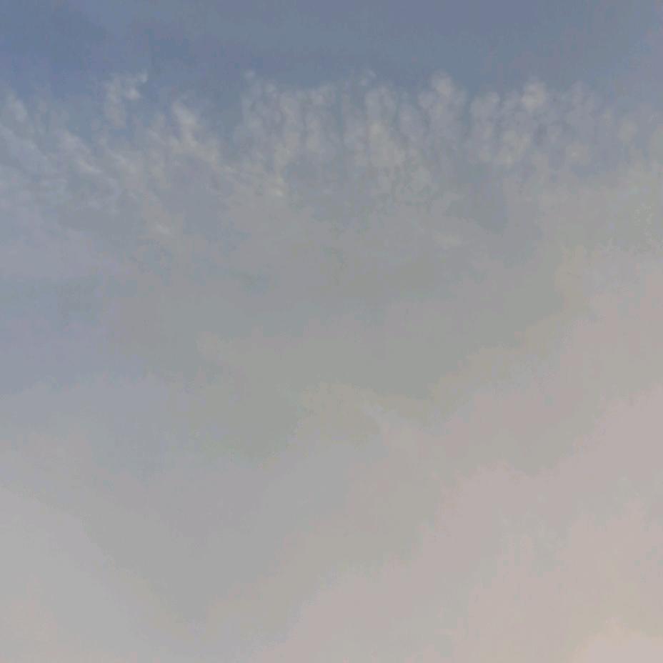 真善美