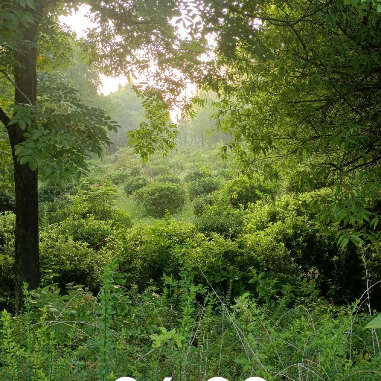 都市奶粉城先帅店